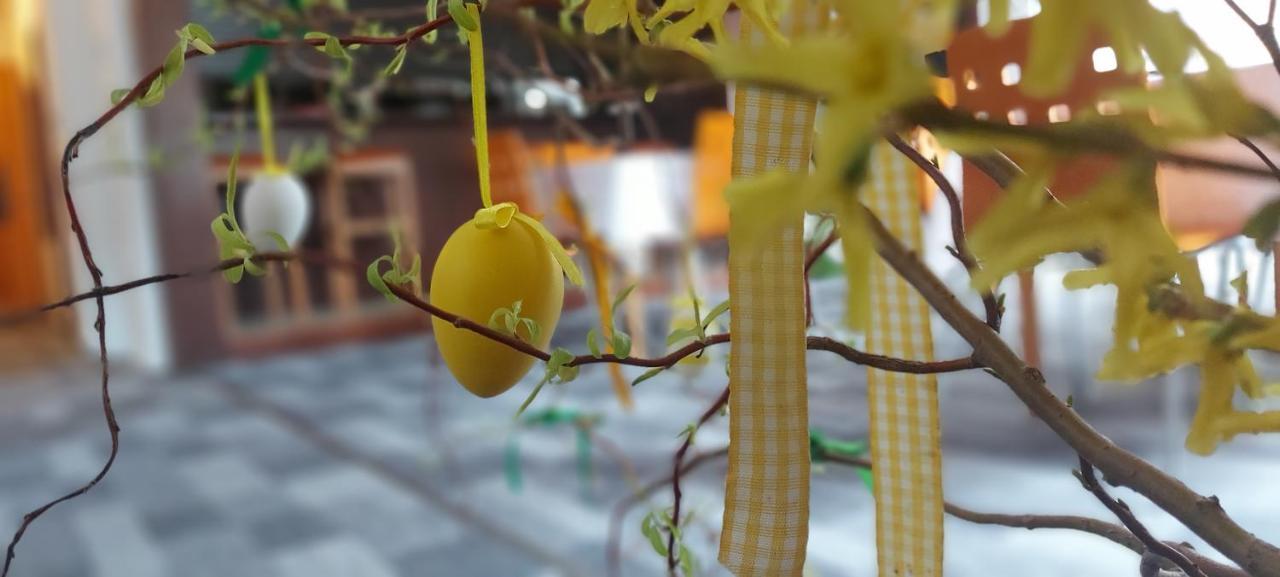 Penzion Svojanov Svojanov  Ngoại thất bức ảnh